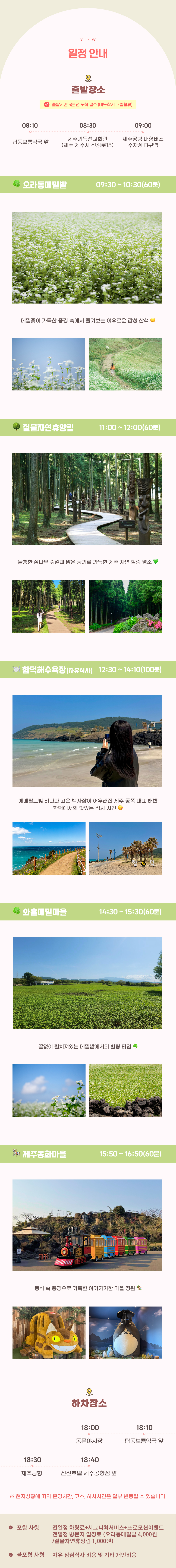 06 View_1000x10000px_26메밀시즌투어